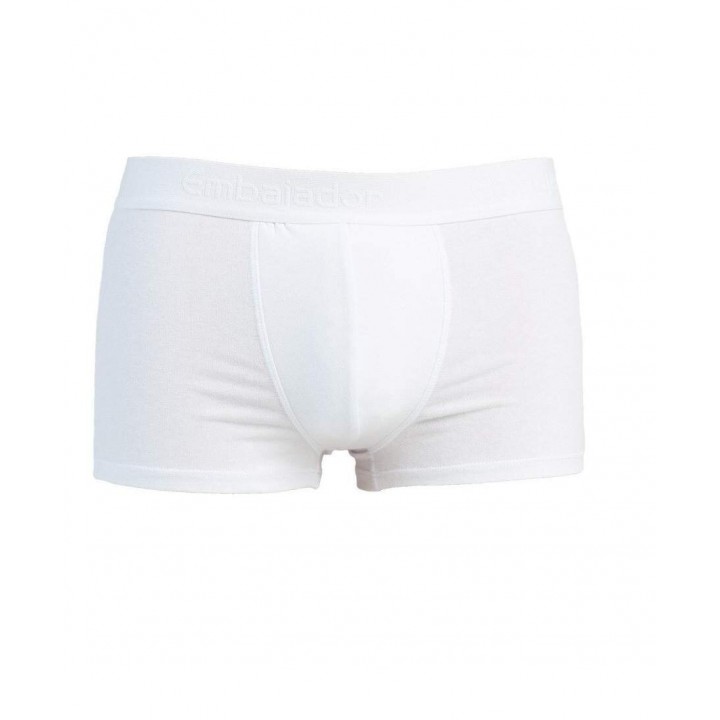 Мужские шорты ATLANTIC EMBAJ ECH-002 XXL white