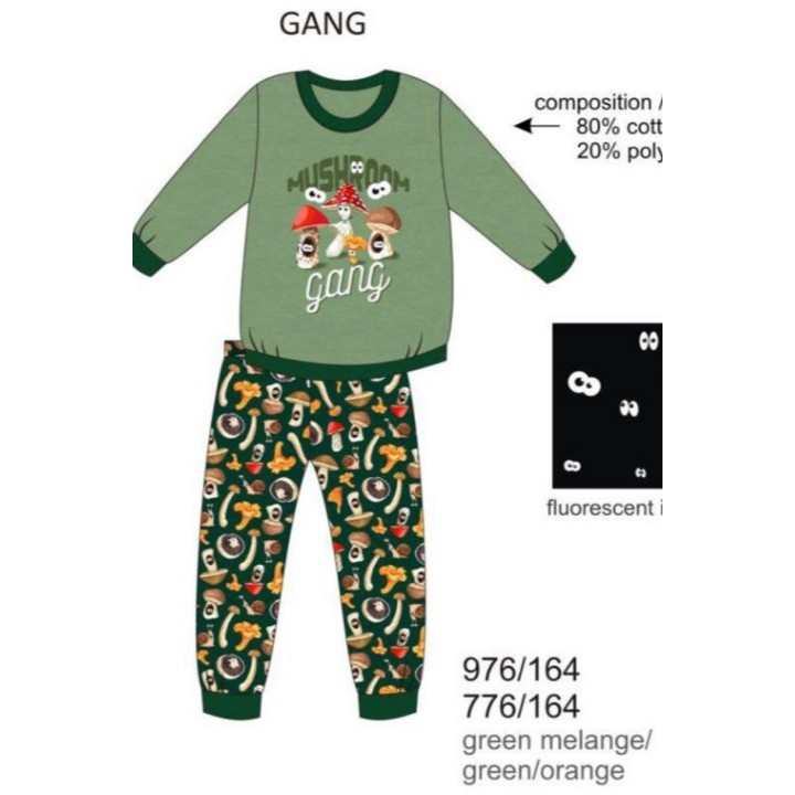 PIŻAMA BOY YOUNG DR 776/164 GANG