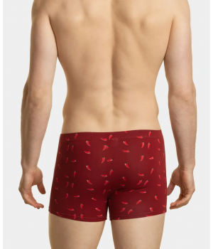 Труси шорти чоловічі Atlantic 2MH-060 L