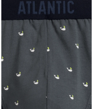 Чоловічі труси Atlantic 3MP-158 W24