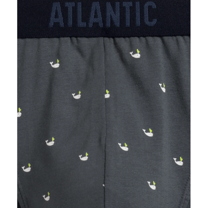Чоловічі труси Atlantic 3MP-158 W24