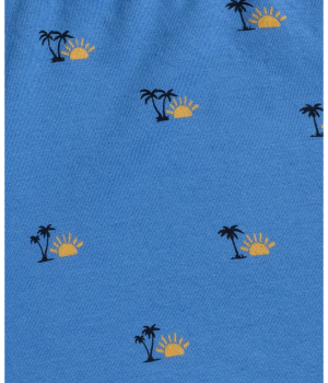 Труси шорти чоловічі боксери Atlantic 2MH-075 L