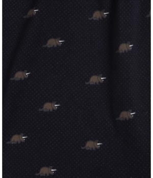 Чоловічі сімейні труси Atlantic 2MBX-049 W24 XL