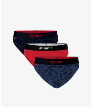 Найкращі вантажівки Atlantic 3MP-121 W22