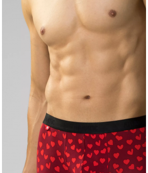 Труси шорти чоловічі боксери Atlantic 2gmh-026 jz24 M