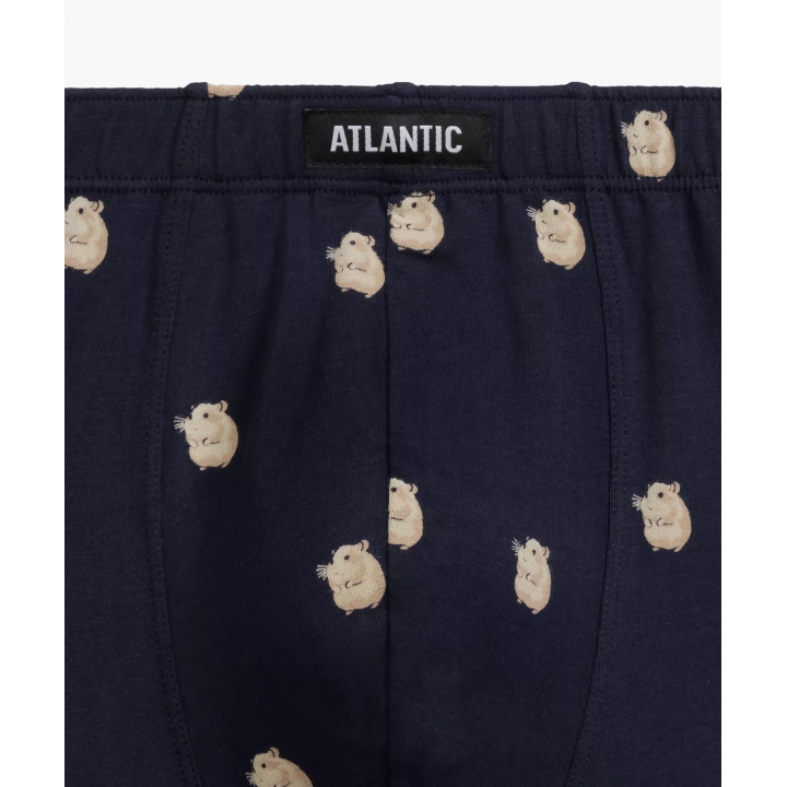 Труси шорти чоловічі боксери Atlantic 2mhh-001 jz24 L