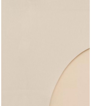 Сліпи жіночі безшовні трусики Atlantic L