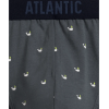 Чоловічі труси Atlantic 3MP-158 W24 XL