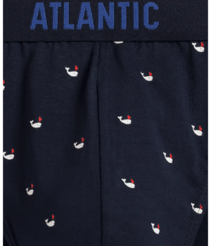 Чоловічі труси Atlantic 3MP-158 W24 XXL