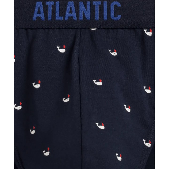 Чоловічі труси Atlantic 3MP-158 W24 XXL