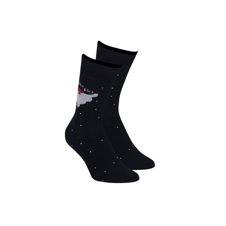 Чоловічі новорічні шкарпетки Wola wzr 831 45-47