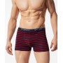 Труси шорти чоловічі боксери Atlantic MH-1116