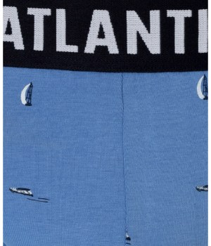 Чоловічі труси Atlantic 3MP-120 XXL