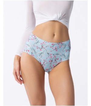 Сліпи труси жіночі Julimex SAKURA SIMPLE MAXI