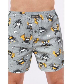 Сімейні труси чоловічі CORNETTE CL-011/182 Szary 4XL