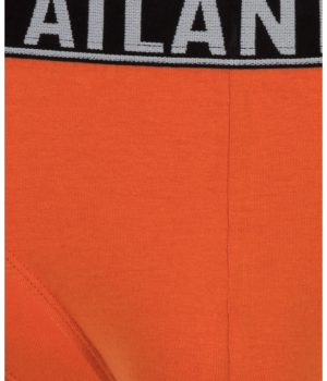 Чоловічі труси Atlantic 3MP-151