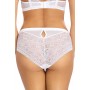 Повні трусики Ewa Bien Alizze C110 XXL