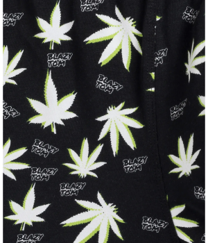 Труси шорти чоловічі боксери Atlantic 3MH-183 W24 XXL