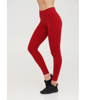 Жіночі безшовні легінси із мікрофібри giulia leggings 02 L/XL