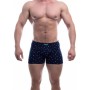 Труси шорти чоловічі труси-шорти Tezavrator МШ 950408 р.44