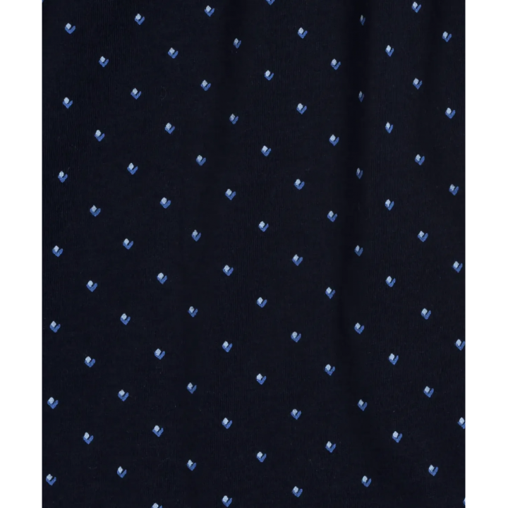 Чоловічі сімейні труси Atlantic 2MBX-051 W24