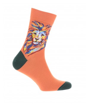 Шкарпетки чоловічі W94.N03 р.42-44 490 помаранчевий/orange