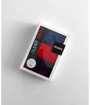 Чоловічі труси Atlantic 3MP-121 W22 XXL