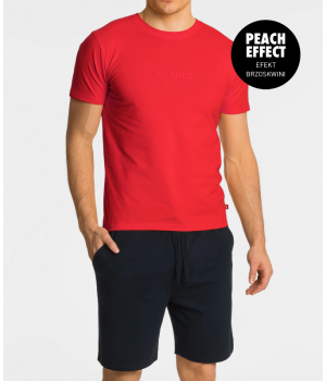 Піжама чоловіча Atlantic NMP-364 L