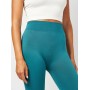 Жіночі безшовні легінси із мікрофібри giulia leggings 02 L/XL
