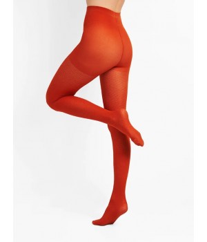 Жіночі колготки з візерунком giulia inlay 60 model 8 2