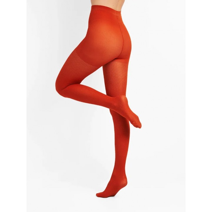 Жіночі колготки з візерунком giulia inlay 60 model 8 2