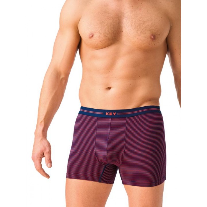 Труси шорти чоловічі боксери Key mxh 319 a26 3xl-4xl 4XL