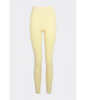 Легінси жіночі Класичні безшовні з мікрофібри FLEXIT FLEXING LEGGINGS S/M