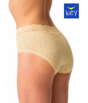 FIGI KEY LPC-533 A24 /XL
