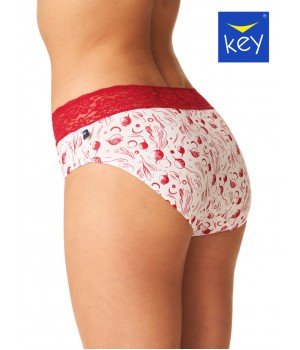 FIGI KEY LPC-797 A24 /XL