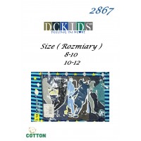 Трусики DCPOLO 2867 на 8-10 лет, разные цвета