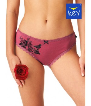 FIGI KEY LPC-785 B24 /S