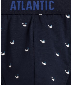 Найкращі вантажівки Atlantic 3MP-158 W24