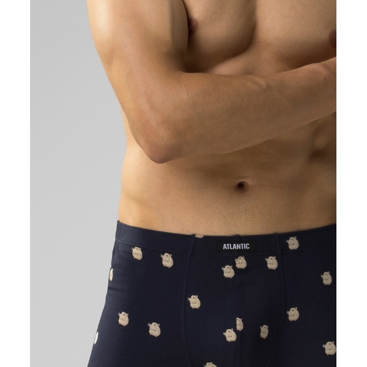 ШОРТЫ ATL.2MHH-001 JZ24 GRA/SZG/M