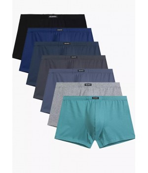 SZORTY ATLANTIC 7MH-001 WL25 GRF/CZ/SZ/NI/ZI/NI/IN /XL