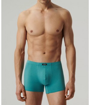 SZORTY ATLANTIC 7MH-001 WL25 GRF/CZ/SZ/NI/ZI/NI/IN /XXL