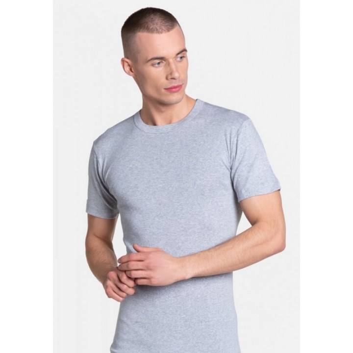 Футболка HENDERSON 1495 BT-100 L сіра