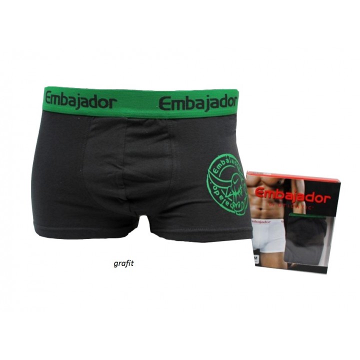 ШОРТЫ ATLANTIC EMBAJ EEH-026 M графит