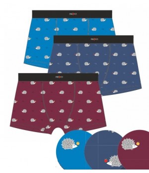 REDO SHORTS 1BE-728 M микс цветов