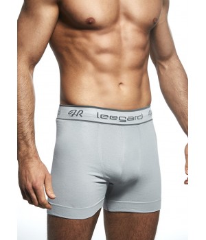 Шорти DAREX LEEGARD HERO XL сірі