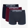 SZORTY ATLANTIC 3MH-011/01 JZ23 GRA/CAB/GRF /XL