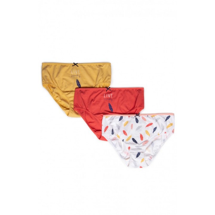 Трусики LAMA BRIEFS L-122 BIB/38 S микс цветов