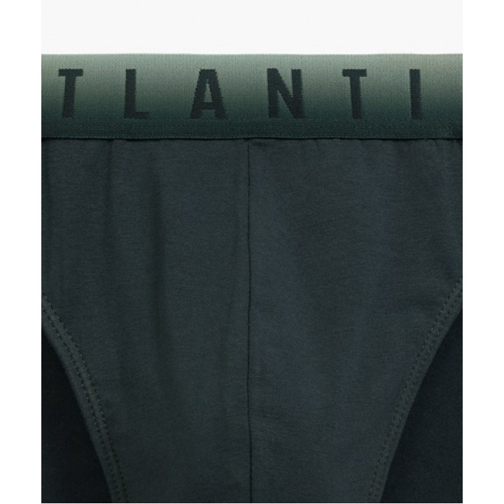 Сліпи ATLANTIC 3MP-173 JZ24 CAB/CZA/SZG /S