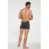 SZORTY GATTA BOXER COTTON TITANIUM/XL