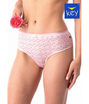 FIGI KEY LPC-726 A25 /S